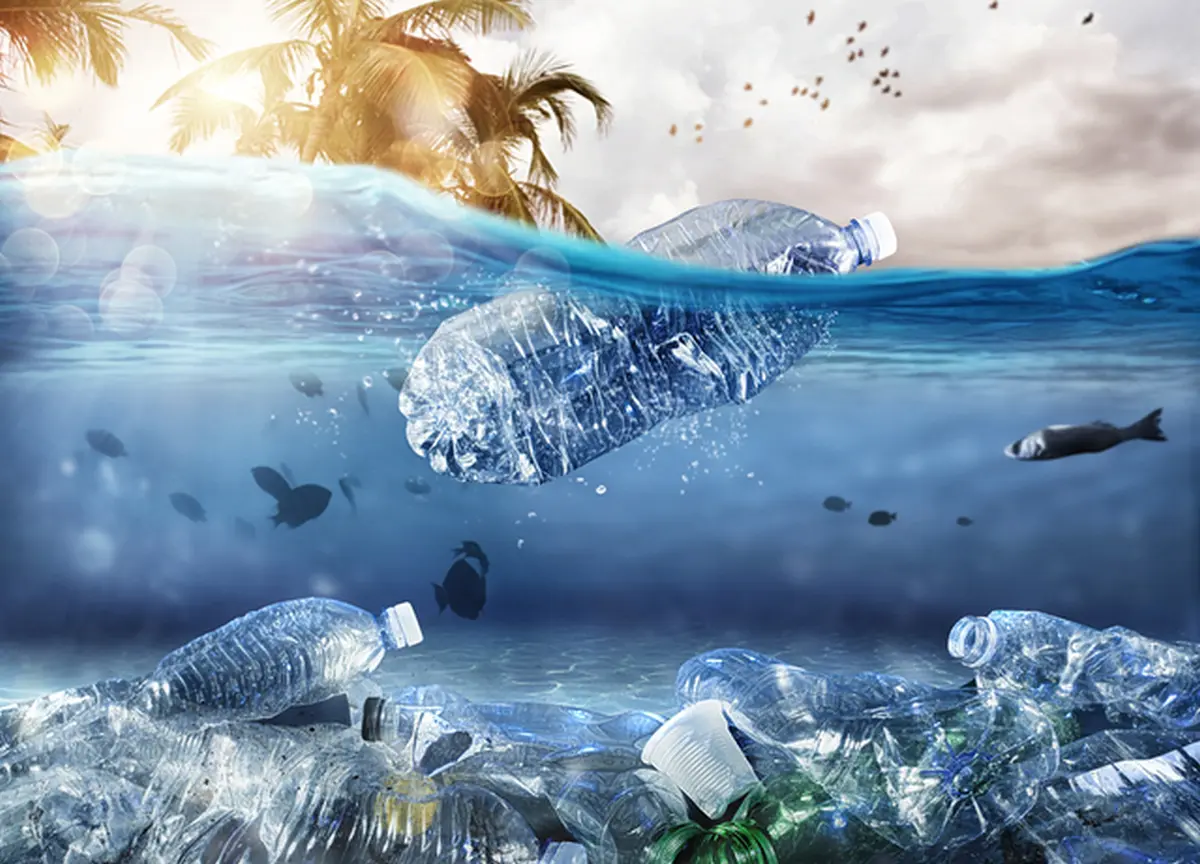Ocean Plastic Cleanup: Eliminating Pollution