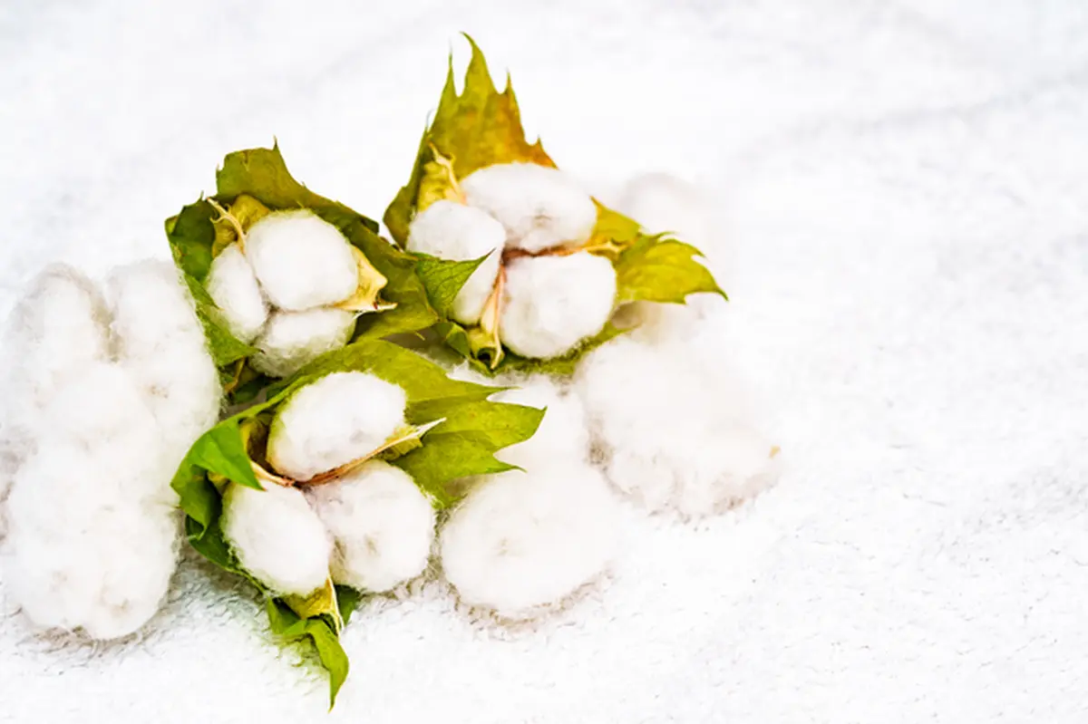 Sustainable Materials Made From Plastic: Popular and Practical